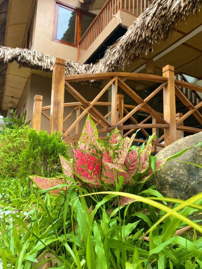 Lemon Tree Homestay Tam Coc Ninh Binh Exterior photo