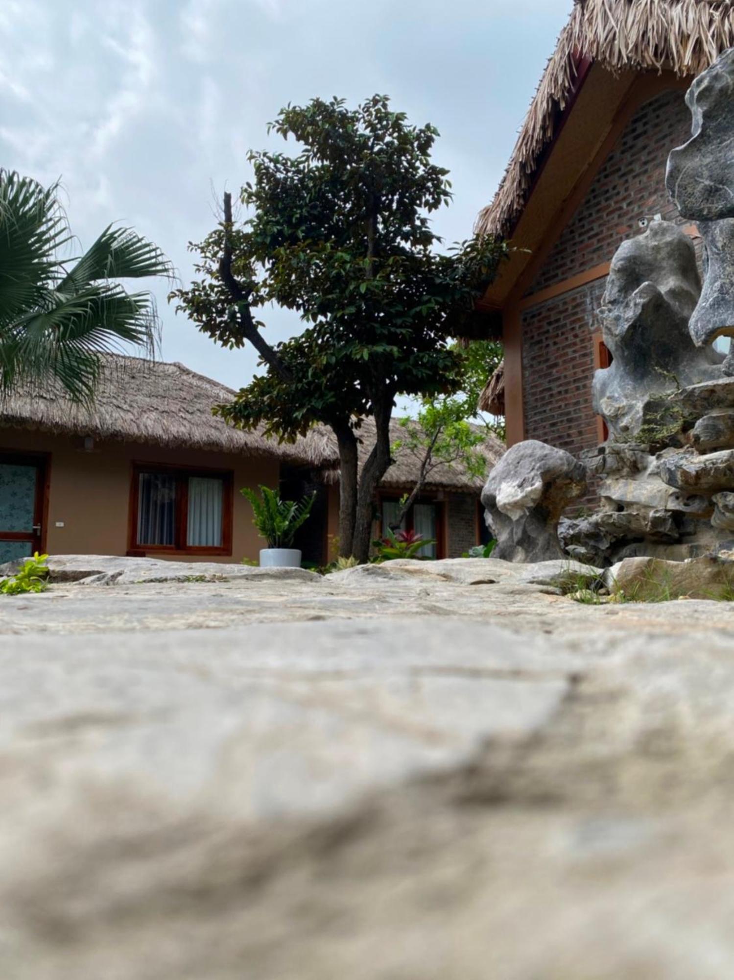 Lemon Tree Homestay Tam Coc Ninh Binh Exterior photo